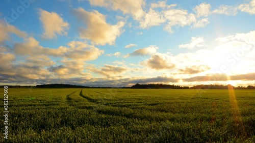 Time Lapse, Cloudy Sunrise Over Fields With Rye