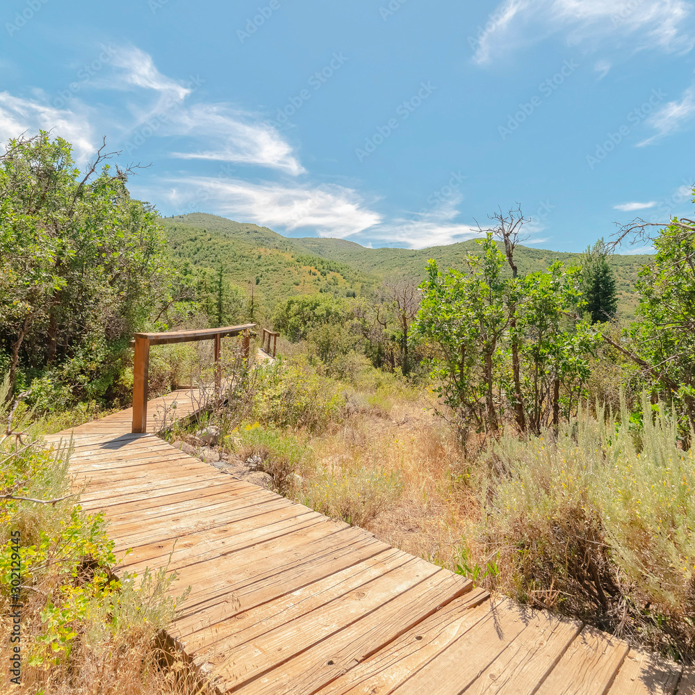 Square frame Wooden walkway with handrails in the forest with view of mountain and blue sky