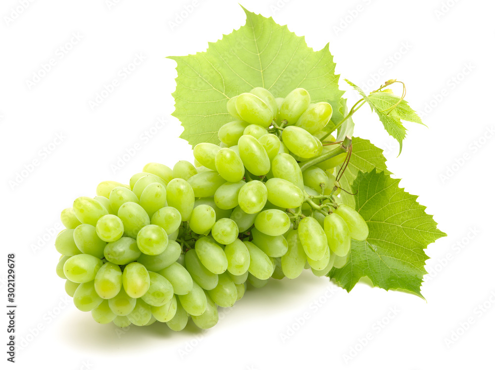 green grapes isolated on the white background green grapes isolated on the white background