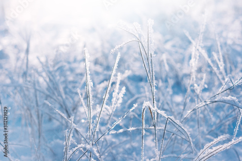 Winter forest © zenobillis