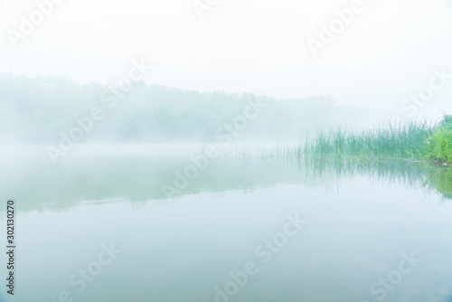 Calm river with forest in misty morning