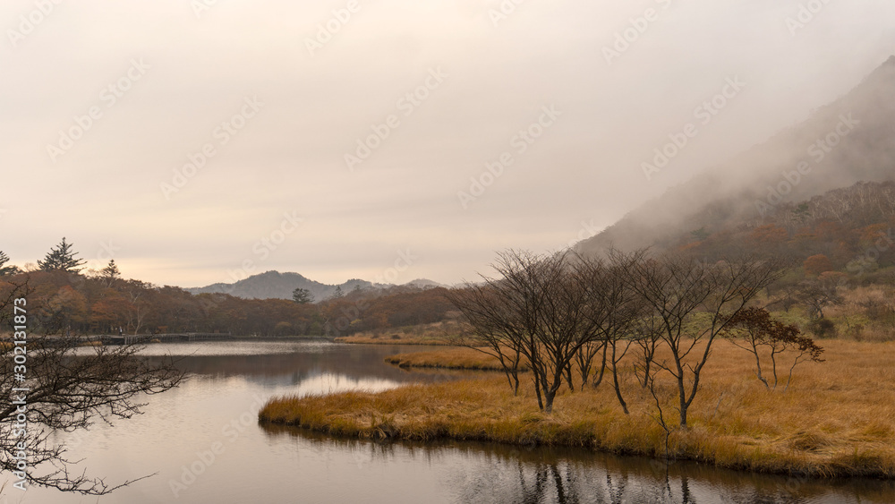 霧が降りる夕方の湿原／This wetland is the awakening of Gunma Prefecture in Japan
