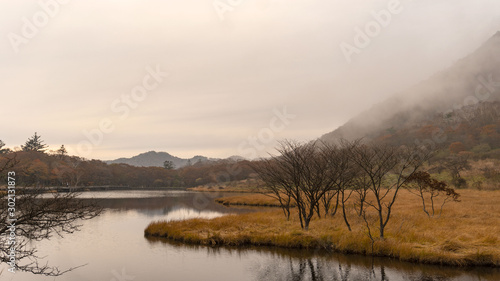                                  This wetland is the awakening of Gunma Prefecture in Japan