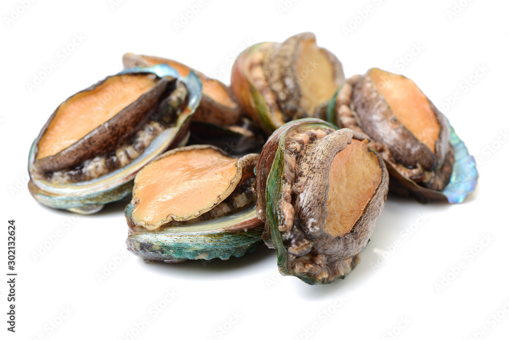 Raw abalones on the white background Raw abalones on the white background