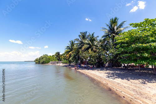 Photography Trees and palms at the coast, Manzanillo, Cuba