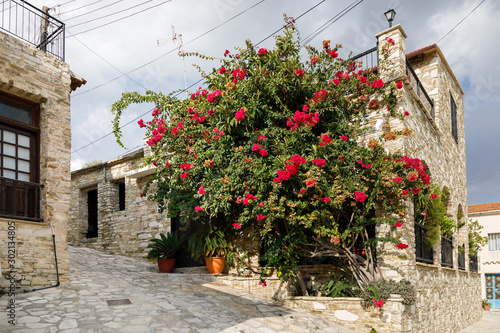 Fototapeta Naklejka Na Ścianę i Meble -  Traditional houses in Skarinou village, Cyprus