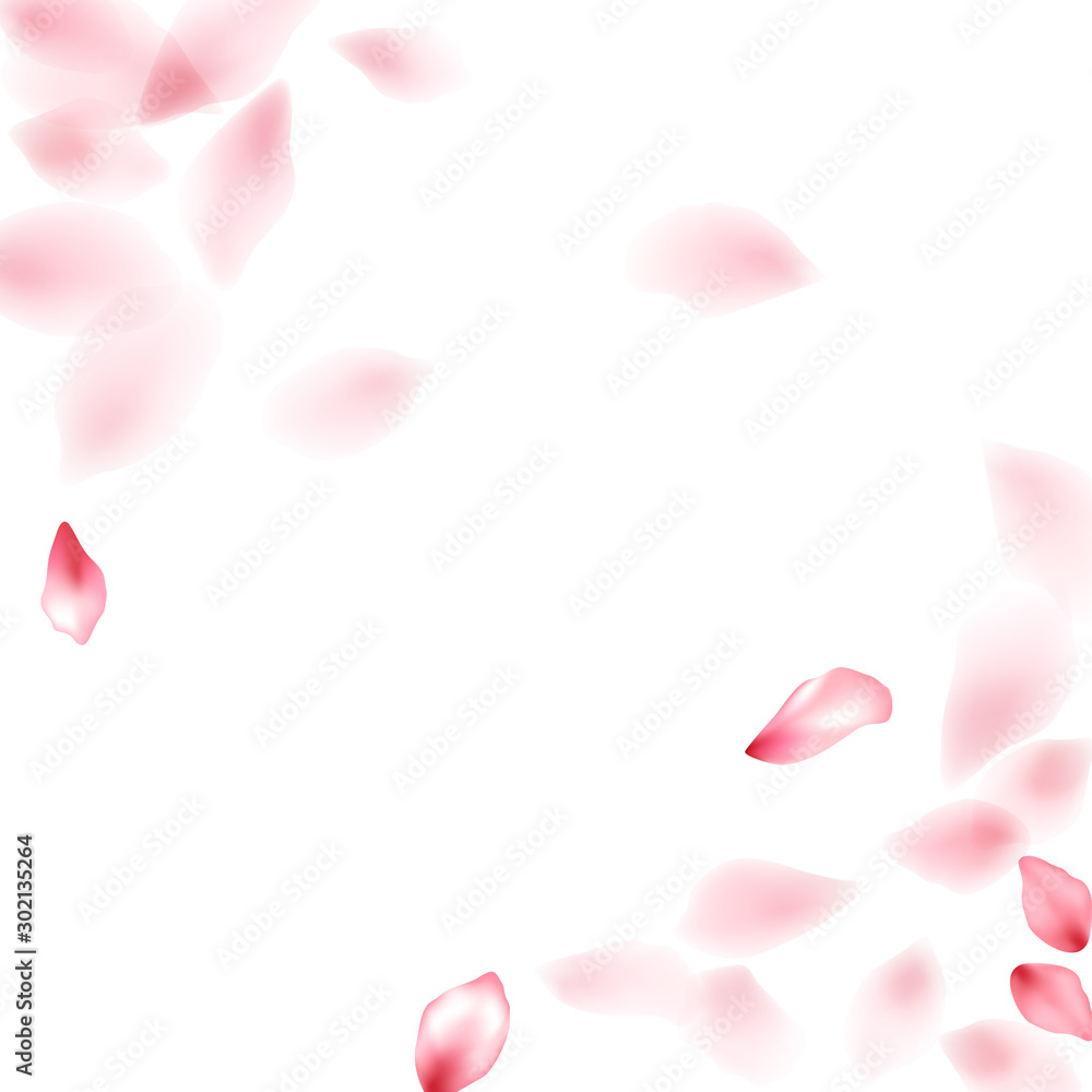 Pink sakura flower flying petals isolated on white vector background.