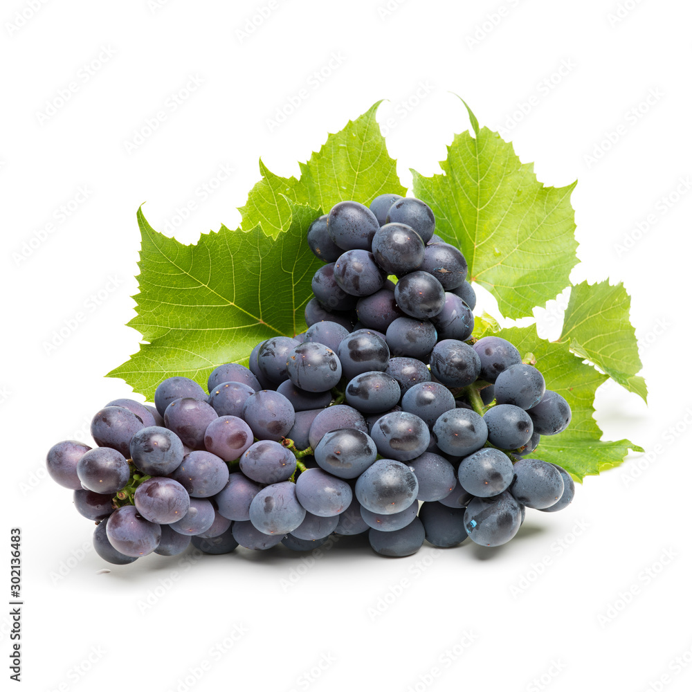 Grapes on a white background Grapes on a white background