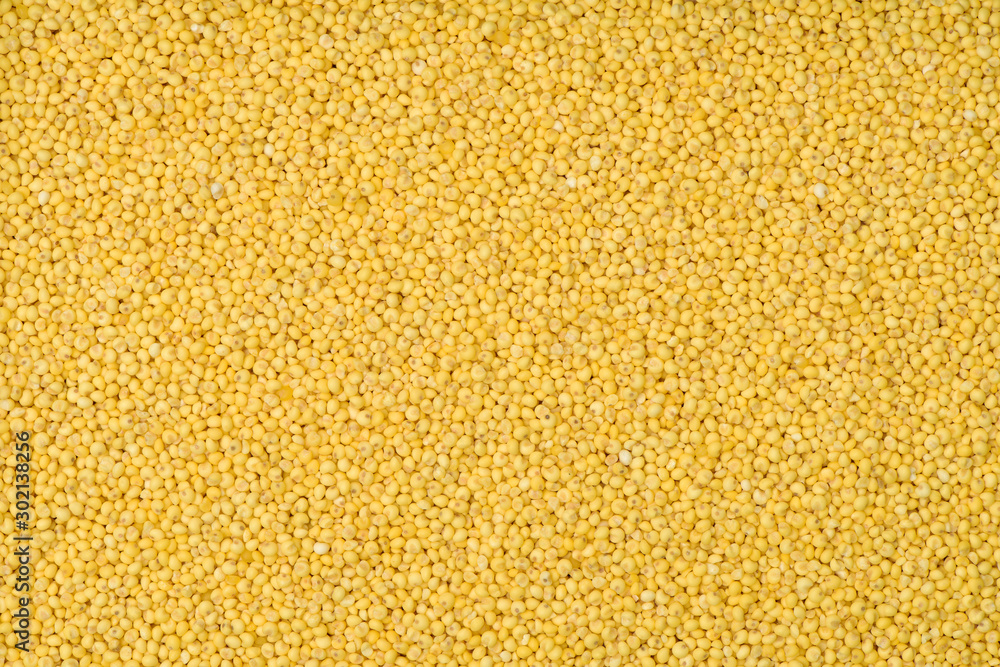 Millet yellow background