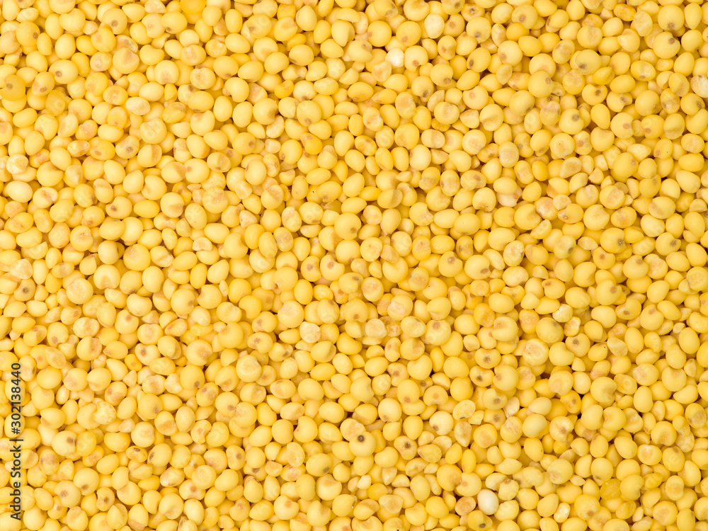 Millet yellow background Millet yellow background