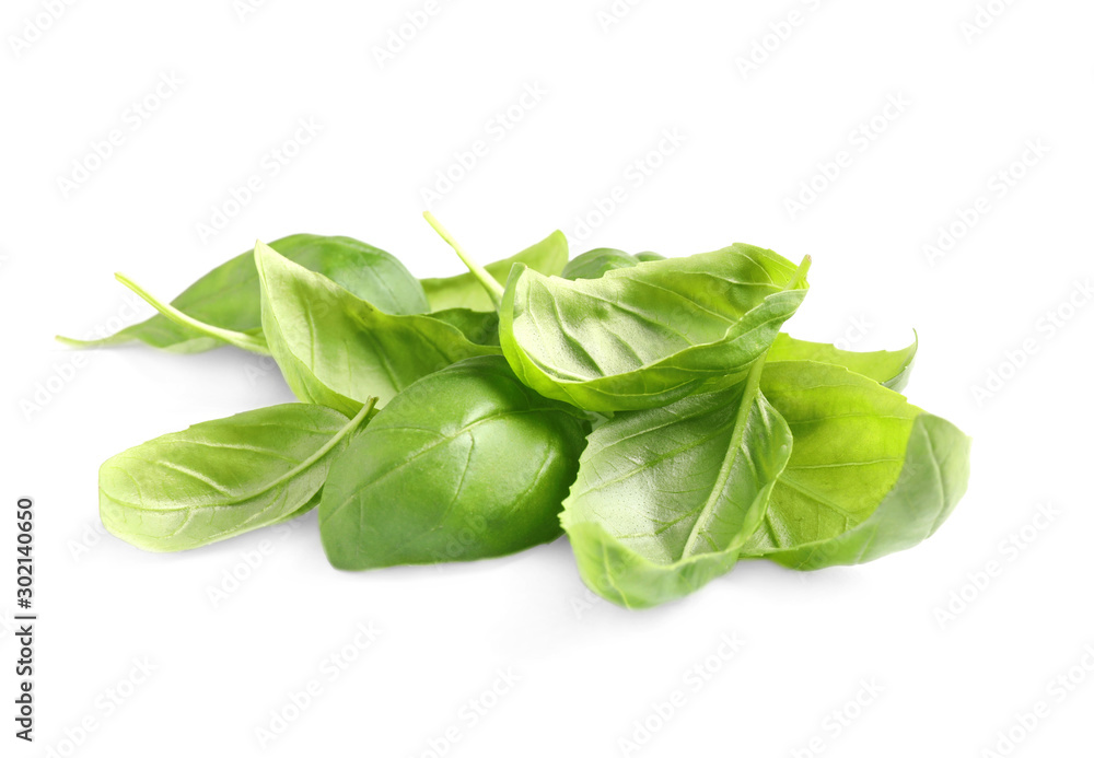 Pile of fresh basil leaves isolated on white Pile of fresh basil leaves isolated on white