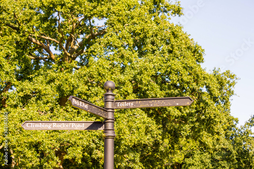 Lovely sunny day in Goffs Park Crawley England