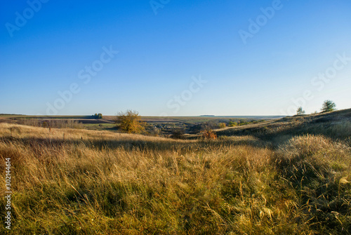Landscape steppe of the Rostov region