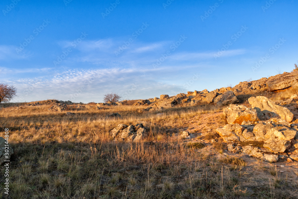 Fototapeta premium sunset in the steppes of the don