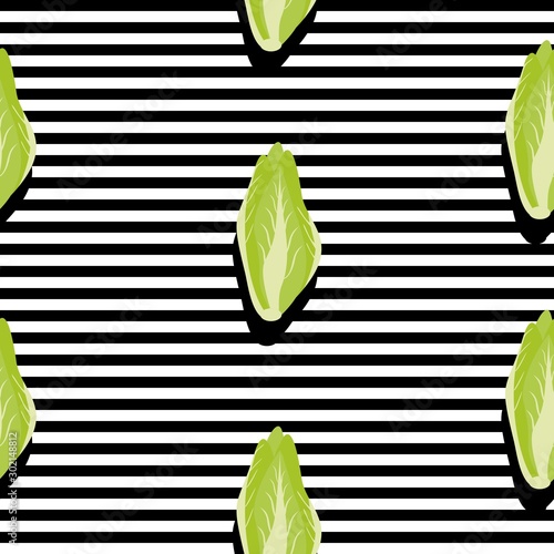 Seamless background with stripes and green napa or chinese cabbages with dark shadow. Vector illustration design f