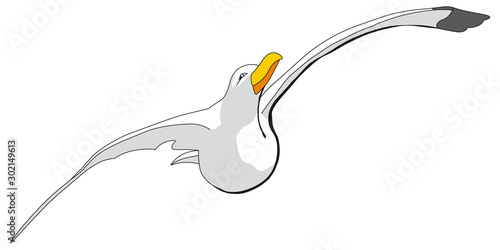 Möve 