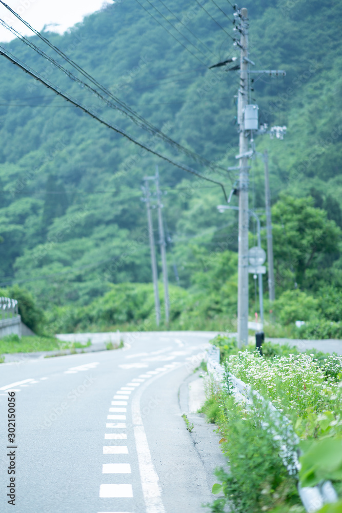 田舎の道