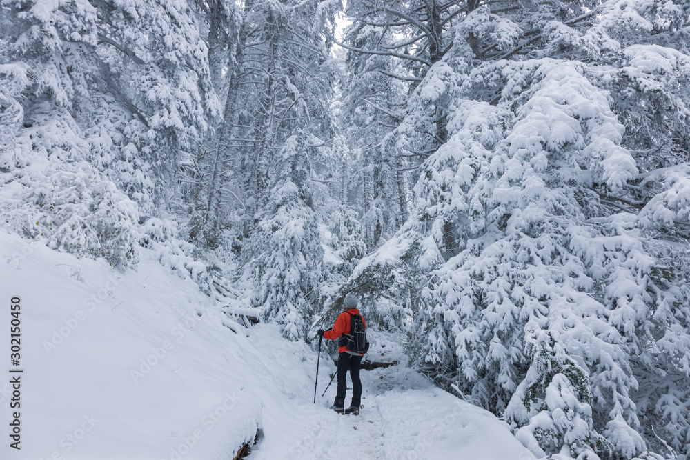 woman standing with red jacket inside a snowy forest woman standing with red jacket inside a snowy forest
