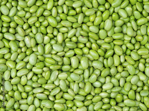 Green soybeans background photo