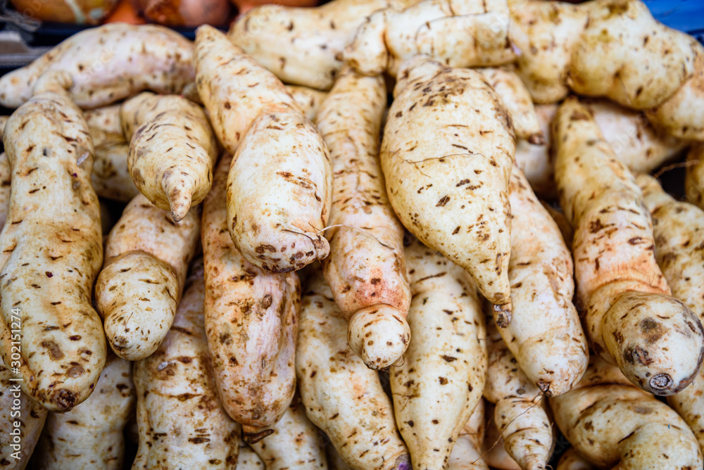 Fresh organic white sweet potatoes, close up. Fresh organic white sweet potatoes, close up.