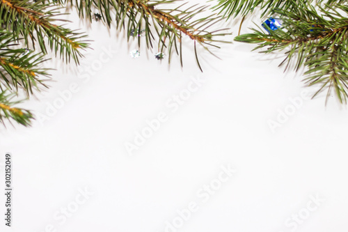 Green fir branches closeup on white background