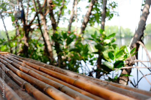 wooden fence on the beach