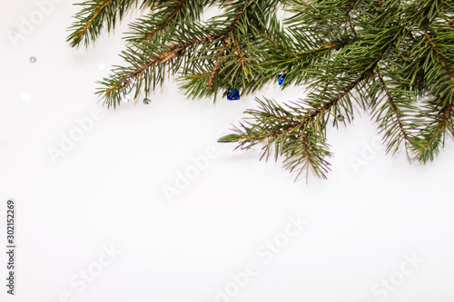 Green fir branches closeup on white background