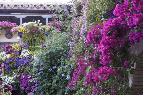 Wallpaper Mural Rincón Patio Córdobas Torontodigital.ca