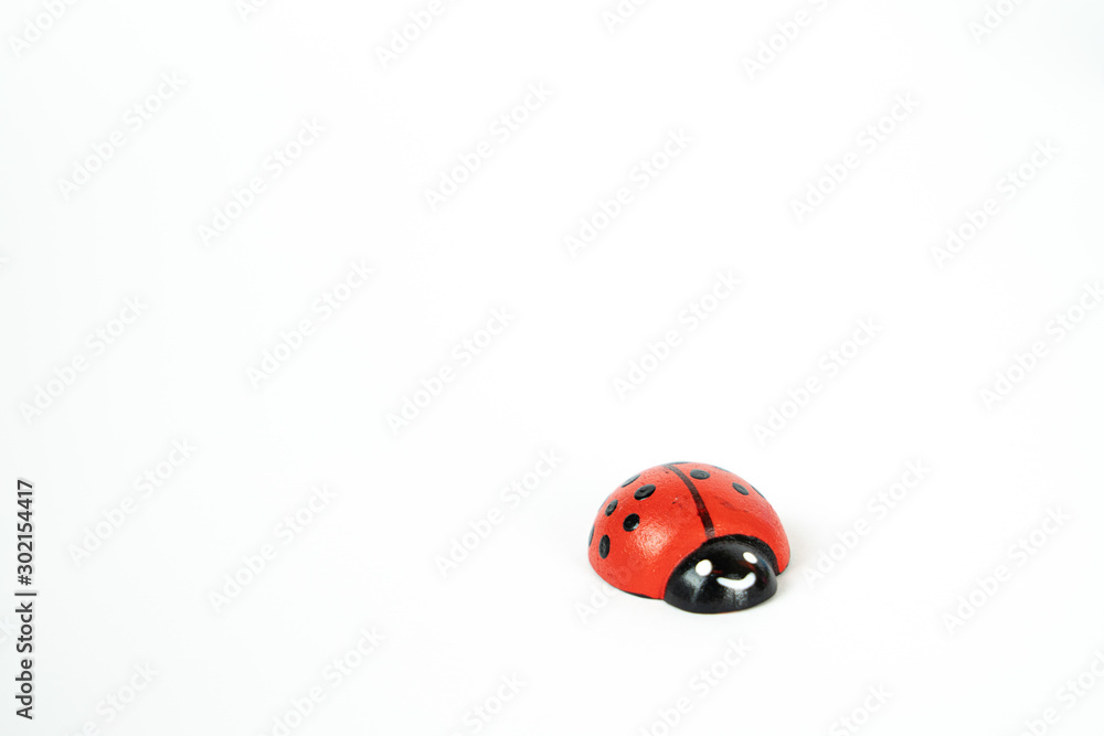 Little lady bug isolated on white, copy space Little lady bug isolated on white, copy space
