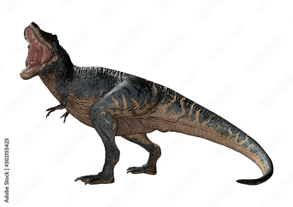 3D Rendering Tyrannosaurus Rex on White 3D Rendering Tyrannosaurus Rex on White