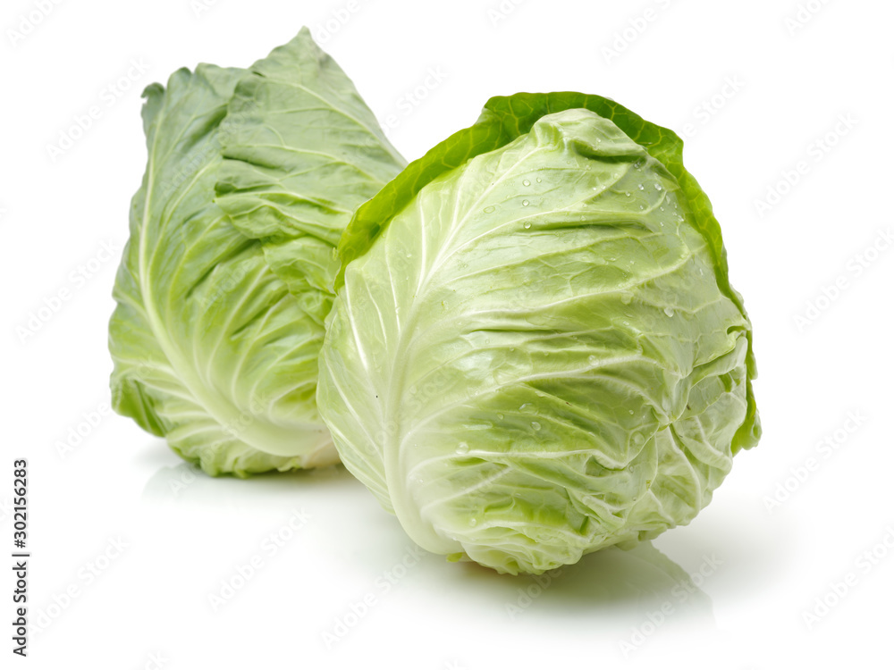 cabbage on white background