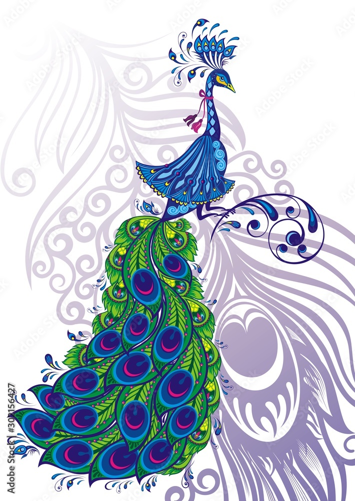 Beautiful Color Drawing Of A Peacock Background, Colored Peacock Picture,  Peacock, Bird Background Image And Wallpaper for Free Download
