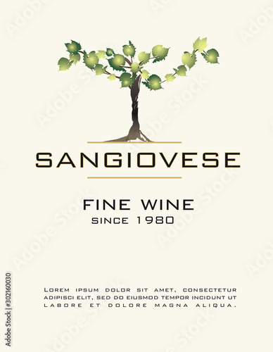 sangiovese AMARONE ROSSO WINE BIO NOBILE SEGNO TREBBIANO VERDE