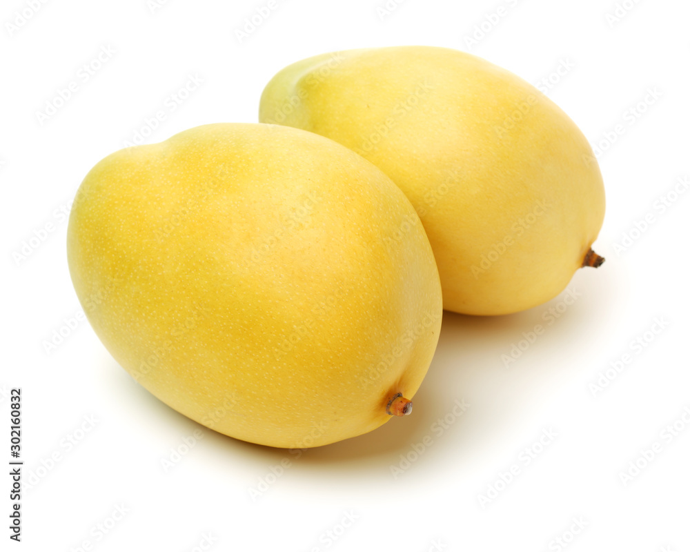 Mango on a white background