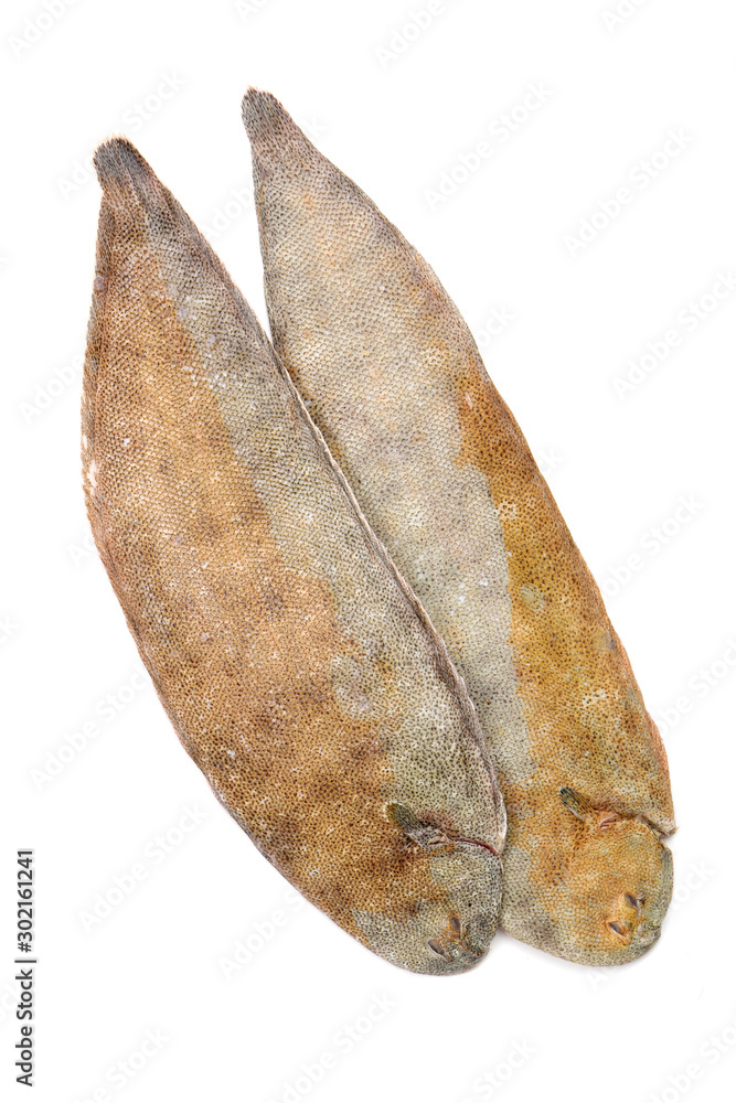 Sole fish on white background Sole fish on white background