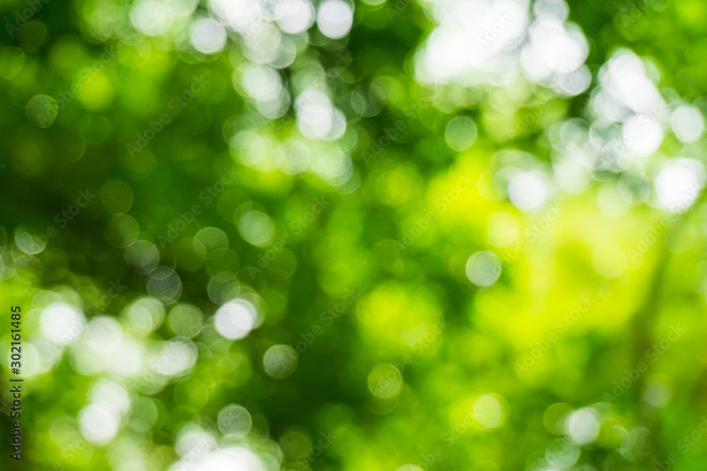 Natural background. Abstract Light bokeh form tree. Natural background. Abstract Light bokeh form tree.