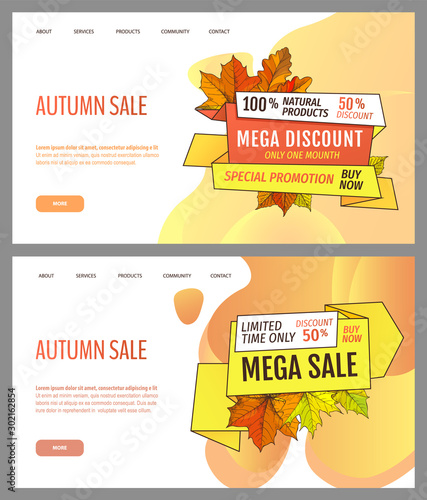 Set of cards with seasonal proposition from store, vector. Shop sale in autumn. Autumnal offer discounts. Fall leaves with gold tags. Flyer hot price and lowered cost, promotion premium quality goods