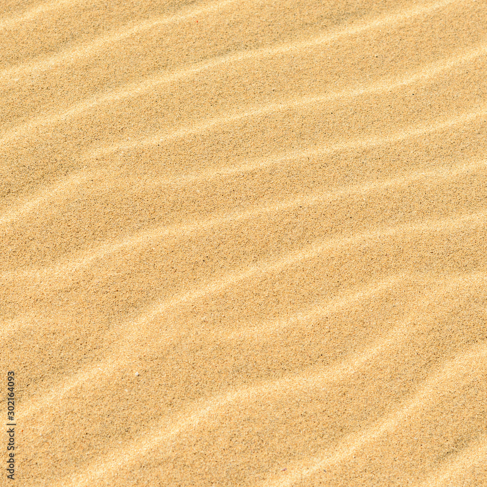 texture of sand texture of sand