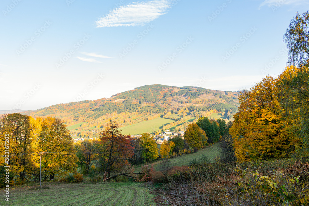 Beautiful autumn day in brightly colored forests. The pleasant summer weather is ideal for walks in the countryside and mountain hikes. Inspired by beautiful nature and bright.