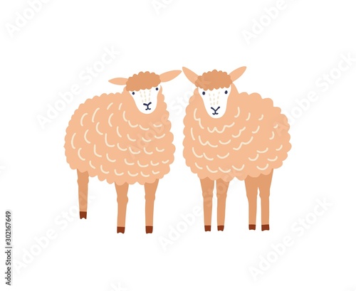 Two cute sheep flat vector illustration. Adorable woolly lambs, fluffy domestic animals isolated on white background. Ewe breeding, ovine farm livestock, husbandry decorative design element.