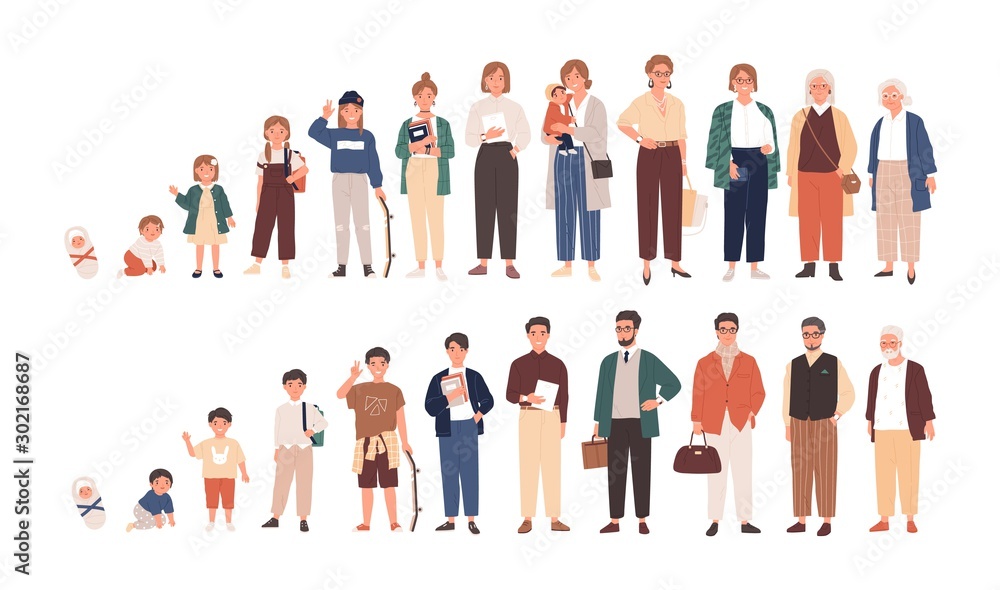 Human life cycles vector illustration. Male and female growing up and  aging. Men and women of different ages cartoon characters. Children, adult  and old people isolated on white background. Stock Vector |