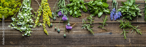 Collection of herbs, fresh garden herb on wooden background