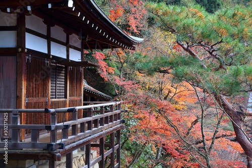 Eikando Temple, Kyoto photo
