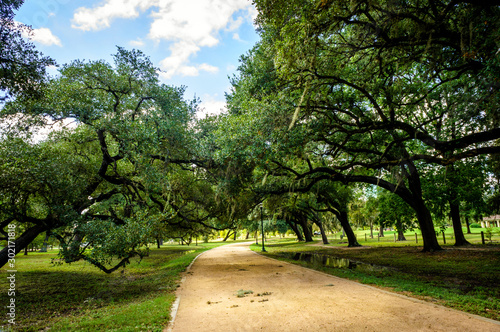 Beautiful park in Houston. Texas. United States © katepax