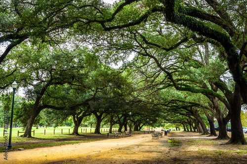 Beautiful park in Houston. Texas. United States photo