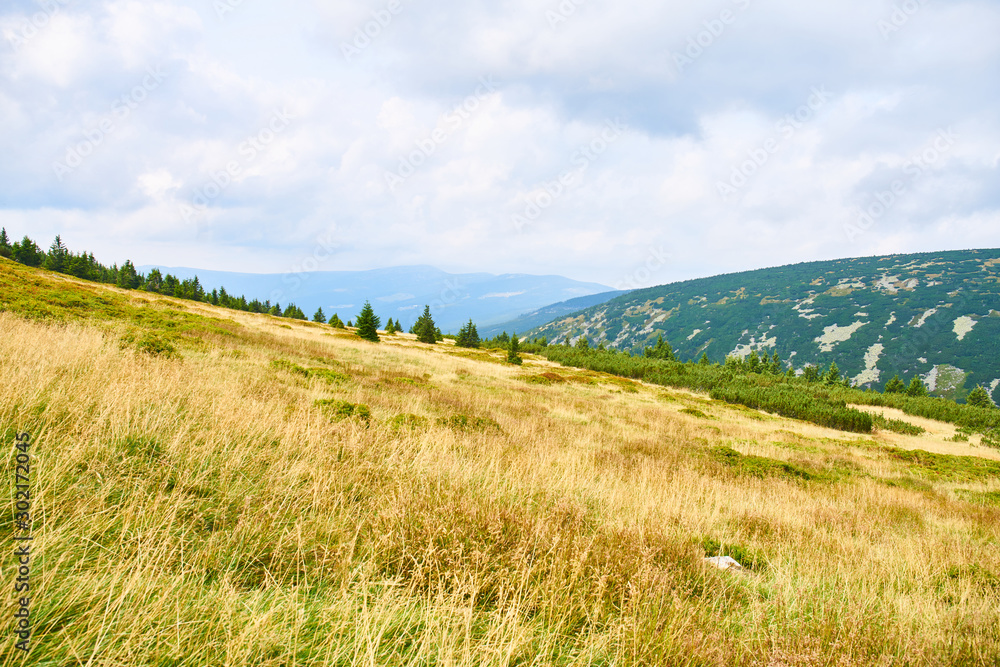 Obraz premium Hiking in Krkonose Mountains near Spindleruv Mlyn 