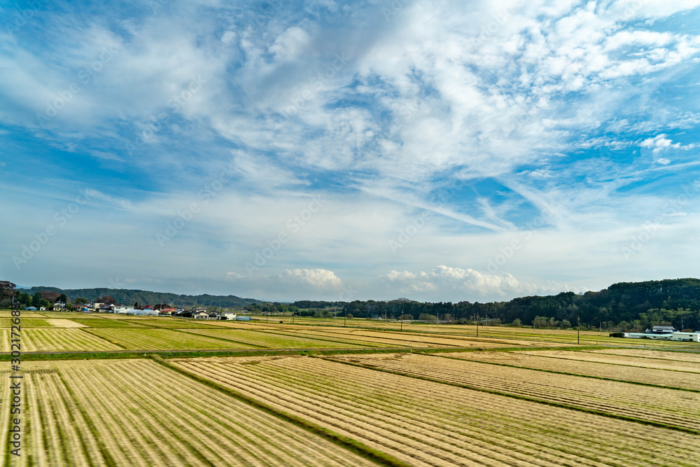 View of paddy field that has finished harvesting rice in Iwate prefecture, JAPAN.