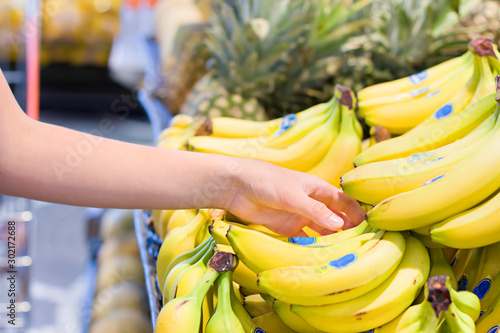 Female hand choosing bananas in supermarket. Concept of healthy food, bio, vegetarian, diet.