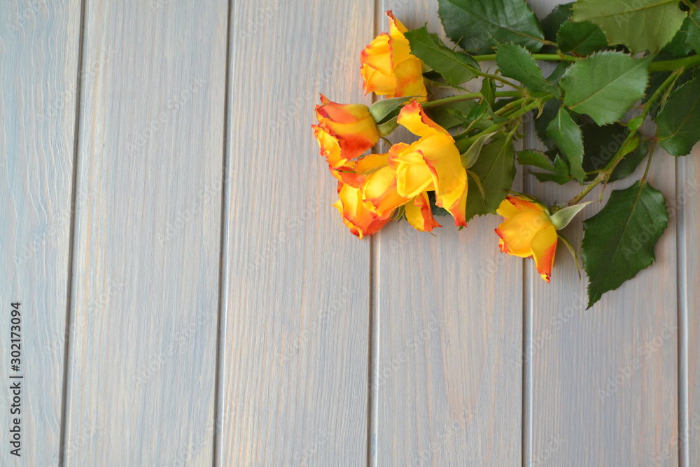 Yellow roses flowers on blue grunge wood flat lay