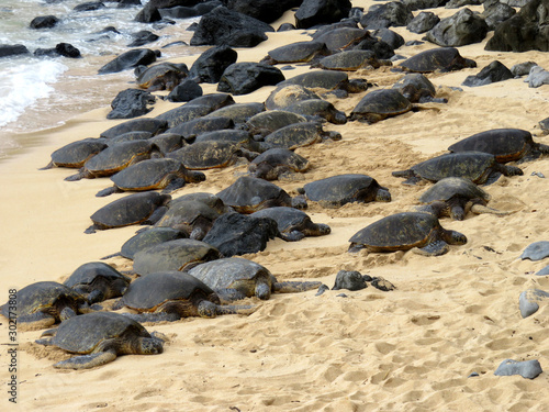 Schildkrötenstrand
